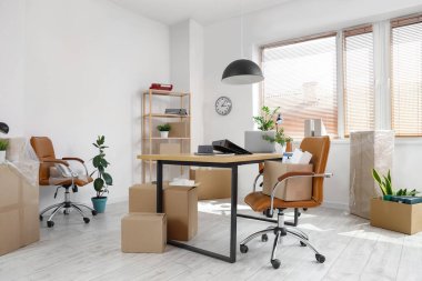 Taşınma gününde işyeri, bitkiler ve karton kutularla birlikte ofis içi