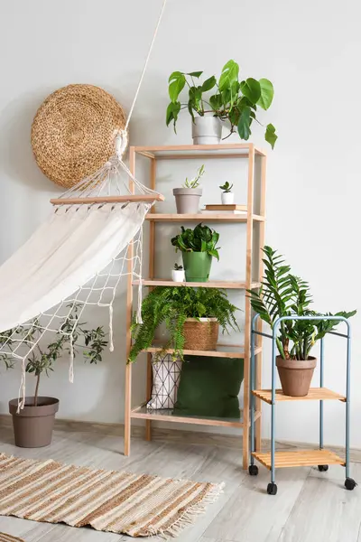 Oturma odasının içinde yeşil bitkiler, raf ünitesi ve hamak var.