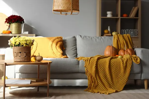 Gri kanepe ve kahve masasında kasımpatı çiçekleri olan rahat bir oturma odası.