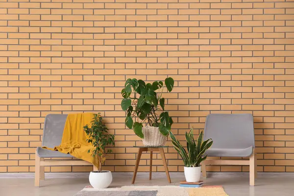 Masalı sandalyeler ve yeşil bitkiler odada tuğla duvarın yanında.