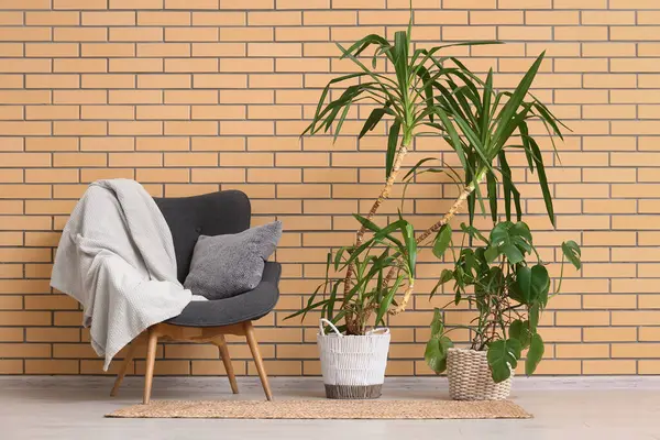 Odada tuğla duvarın yanında palmiye bitkileri olan Koltuk