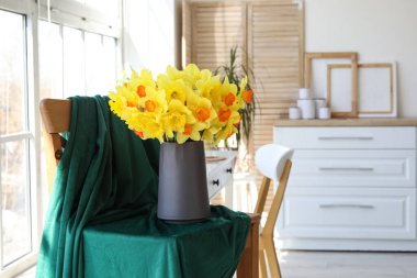 Nergis çiçekleri vazoda sandalyede, kumaş da oturma odasında.