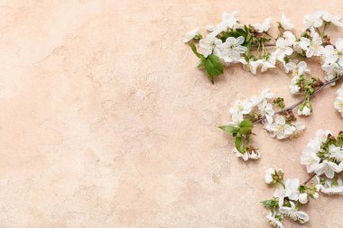 Bej arka planda çiçek açan güzel dallar