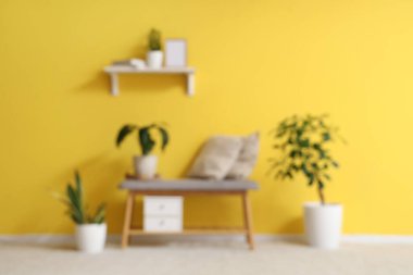 Rahat bir bank, raf, yastıklar ve sarı duvarın yanındaki çiçekler güzel bir odada, bulanık bir manzara.