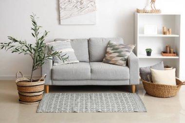 Gri kanepesi, raf ünitesi ve zeytin ağacı olan güzel bir oturma odası.