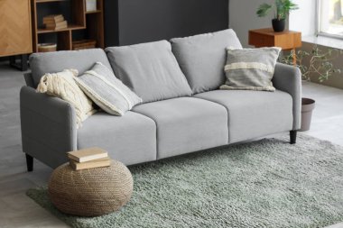 Kanepe, halı ve kitaplarla dolu şık bir oturma odası.