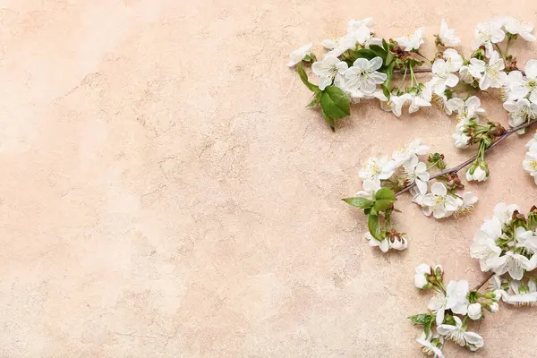 Bej arka planda çiçek açan güzel dallar