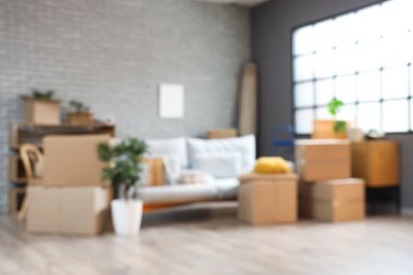 Gri kanepeli karton kutular ve taşınma gününde oturma odasındaki pencerenin yanında bitkiler.