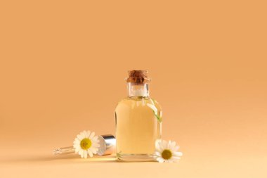 Bir şişe papatya çayı kozmetik yağı ve kahverengi arka planda çiçekler.