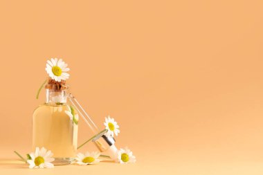 Bir şişe papatya çayı kozmetik yağı ve kahverengi arka planda çiçekler.