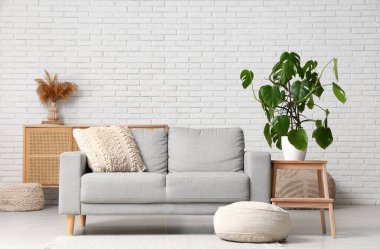 Odanın içinde kanepe, puf, merdiven ve Monstera bitkisi var.