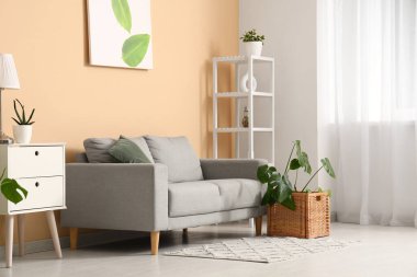 Oturma odasının içinde kanepe, raf ünitesi ve bej duvarın yanında Monstera bitkisi var.