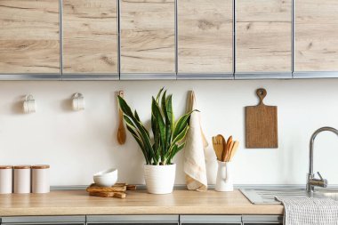 Mutfağın içinde çatal bıçak ve sansevieria bitkisi var.