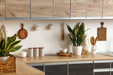 Mutfağın içinde tezgah, çatal bıçak ve sansevieria bitkileri var. Yakın plan.