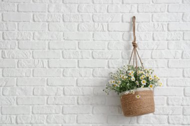 Beyaz tuğla duvarında papatya çiçekleri olan hasır bir tencere.