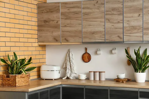Mutfağın içinde çoklu pişirici ve sansevieria bitkileri var. Siyah tezgahlarda, yakın plan.