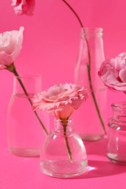 Pembe arka planda güzel Eustoma çiçekleri olan cam şişeler, yakın plan.