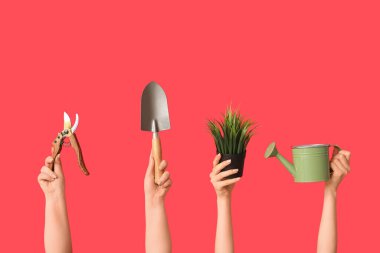 Bahçe aletleri ve kırmızı arka planda bitki yetiştiren kadın eller