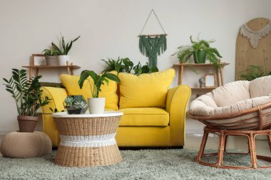 Oturma odasının içinde bitkiler, kanepe ve koltuk var.