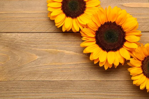 Ahşap arka planda güzel ayçiçekleri