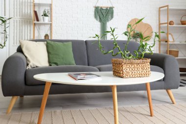 Kahve masası ve kanepenin üzerinde bambu sapları olan modern oturma odasının içi aydınlık.