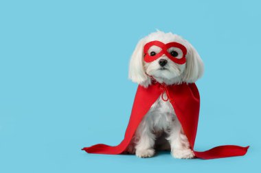 Mavi arka planda süper kahraman kostümlü şirin bir köpek.