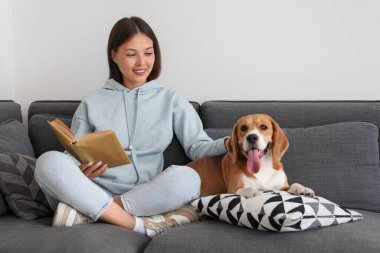 Oturma odasındaki kanepede sevimli Beagle köpeğinin yanında kitap okuyan genç bir kadın.