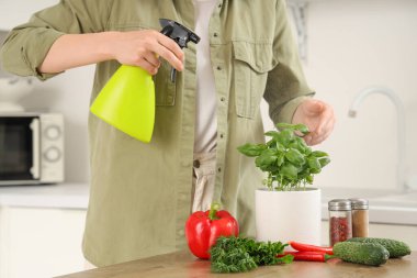 Mutfakta fesleğen püskürten kadın.