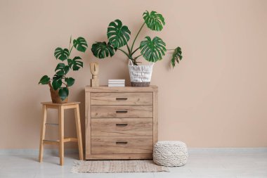 Odadaki bej duvarın yanında dekoru olan çekmeceler ve tabure üzerindeki canavar bitkisi.