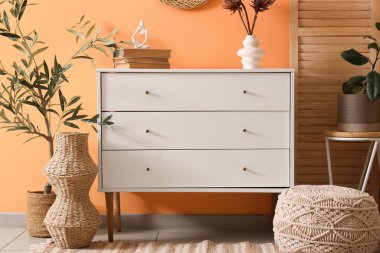 Çekmeceler, vazolar, ev bitkileri ve portakal duvarının yanındaki oda.