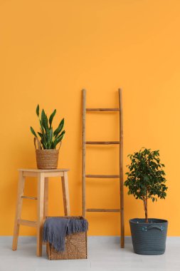 Ahşap merdiven, masa, ev bitkileri ve sepet turuncu duvarın yanında.