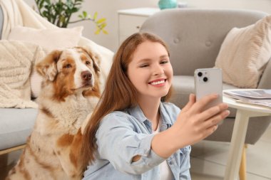 Tatlı Avustralyalı çoban köpeği olan genç bir kadın evde selfie çekiyor.