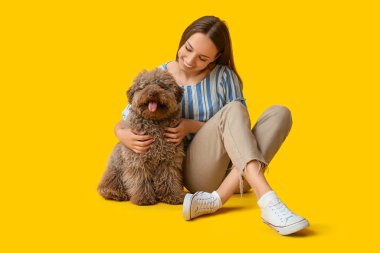 Sarı arka planda sevimli kahverengi kaniş köpeğine sarılan genç bir kadın.