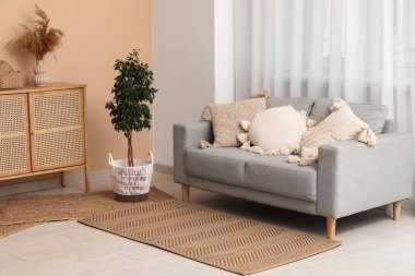 Konforlu kanepe, çiçek ve sandık oturma odasında.