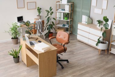 Modern dizüstü bilgisayarı ve farklı ev bitkileri olan şık bir ofis.