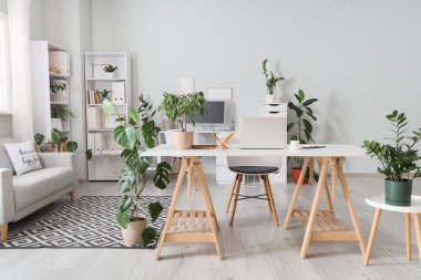 Masaları, yeşil çiçekleri ve kanepesi olan bir ofis.