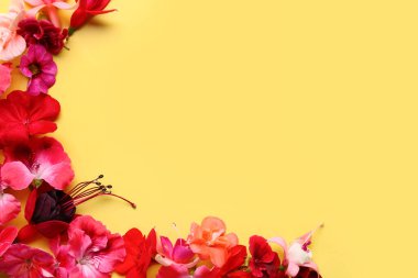 Sarı arka planda farklı güzel yenilebilir çiçekler.