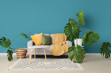 İçinde Monstera bitkileri, kanepe ve masa olan bir oturma odası.