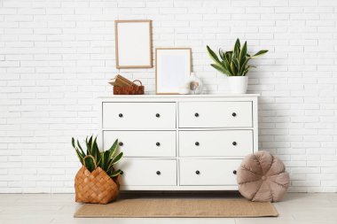 Odanın içi klozet, boş çerçeveler ve Sansevieria bitkileriyle dolu.