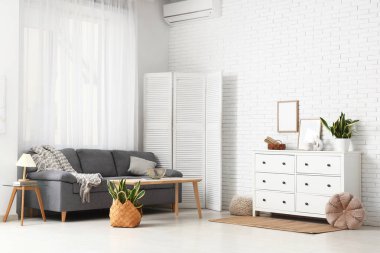 Oturma odasının içinde kanepe, katlanan perde ve Sansevieria bitkileri var.