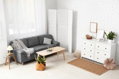 Oturma odasının içinde kanepe, katlanan perde ve Sansevieria bitkileri var.