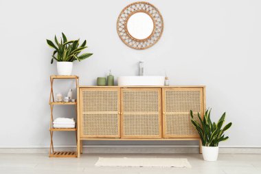 Lavabo, ayna ve Sansevieria bitkileriyle dolu bir banyo.