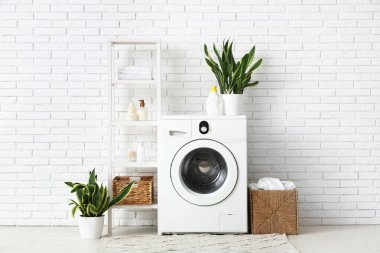 Çamaşır makinesi, raf ünitesi ve çamaşır odasının içindeki sansevieria bitkileri.
