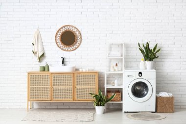 Çamaşır makinesi, raf ünitesi ve sansevieria evlerinin olduğu bir çamaşırhane.