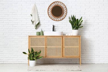 Banyo, çekmeceler, lavabo ve sansevieria bitkileri.
