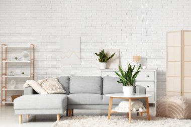 Oturma odasında kanepe, masa, puf ve sansevieria çiçekleri var.