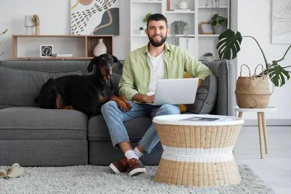 Dobermann köpekli genç adam evdeki kanepede dizüstü bilgisayar kullanıyor.