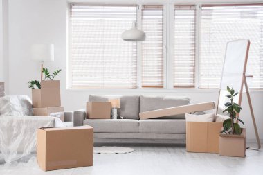 Taşındığı gün ışık odasında karton kutuları olan gri koltuklar