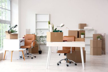 Taşındığı gün iş yeri, raf üniteleri ve karton kutularla aydınlatma ofisinin içi