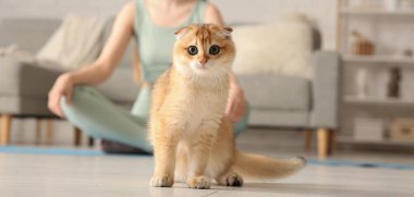 Evde meditasyon yapan bir kadının yanında oturan sevimli kedi yavrusu.